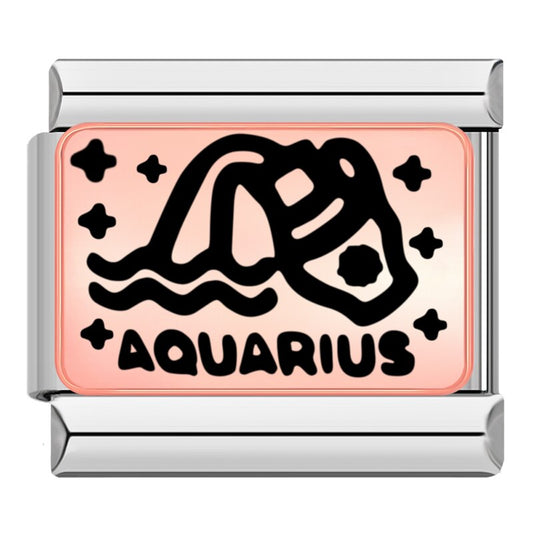 Aquarius Birth Sign