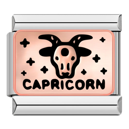 Capricorn Birth Sign